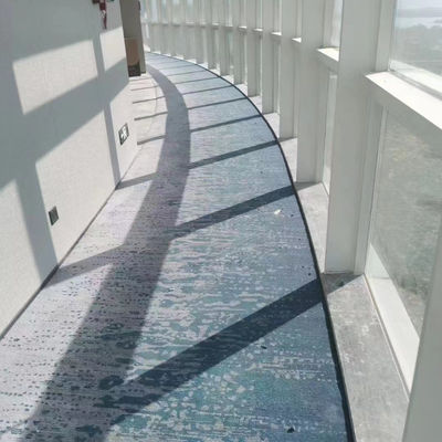 Stampa personalizzata di tappeti in nylon per pavimenti di hotel