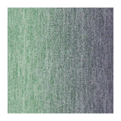 Carpet non scivolosi a basso livello per spazi commerciali