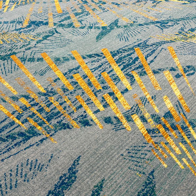 Banchetto Hall Lobby Luxury Fireproof Wool Axminster Carpet con taglie personalizzate supportate